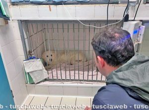 Il sindaco Luca Profili fa visita a Cocò