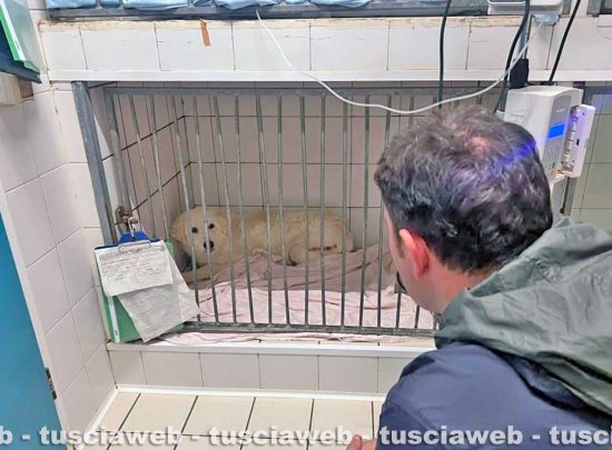 Il sindaco Luca Profili fa visita a Cocò