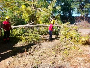 Tarquinia - Intervento Aeopc in strada Lupo Cerrino e nella zona del Porticciolo