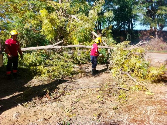 Tarquinia - Intervento Aeopc in strada Lupo Cerrino e nella zona del Porticciolo