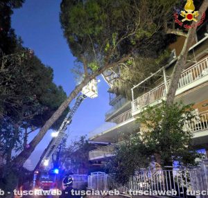 Santa Marinella – Pino marittimo crolla sulla facciata di una palazzina