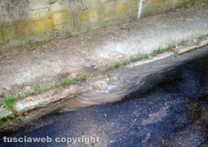 Viterbo - Perdita  d'acqua In via della Mazzetta