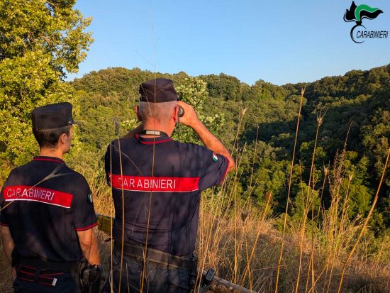 Carabinieri forestali in azione