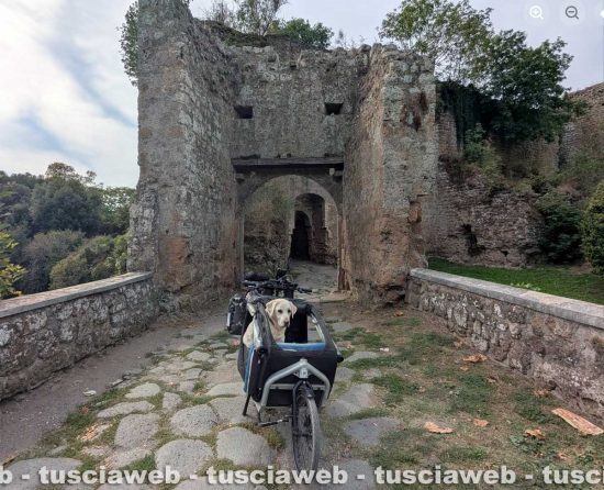 Il labrador Erin in viaggio con il suo biker Nicola Inversi - Tappa a Nepi