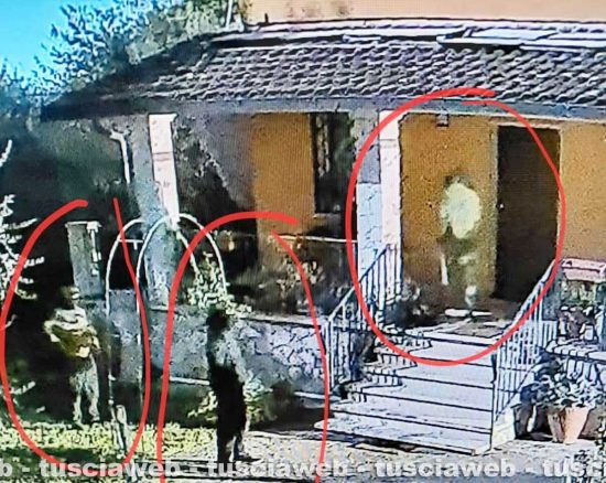Vasanello – Tentato furto, l’allarme mette in fuga tre persone