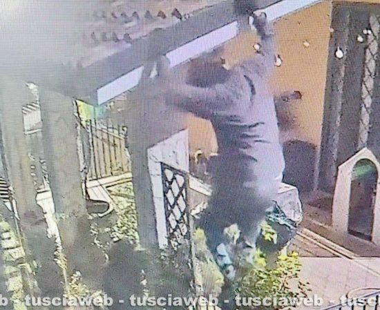 Vasanello – Tentato furto, l’allarme mette in fuga tre persone