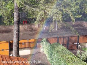 Un arcobaleno in un giardino