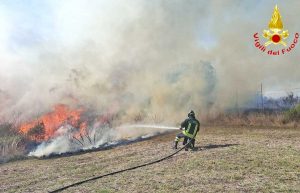 Ancora un incendio di sterpaglie a Civitavecchia