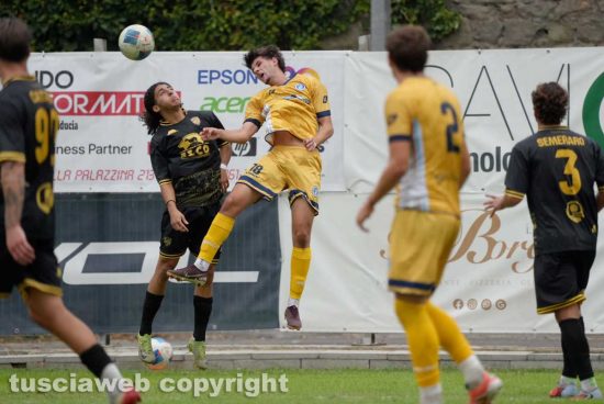 Sport - Calcio - Viterbese Albalonga
