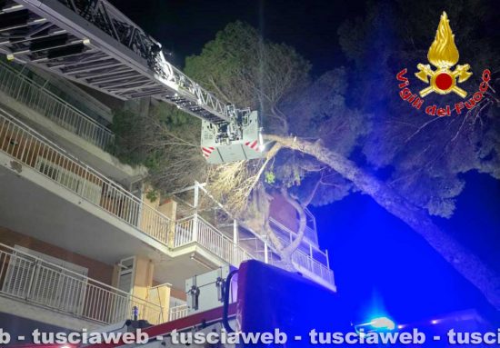 Santa Marinella – Pino marittimo crolla sulla facciata di una palazzina