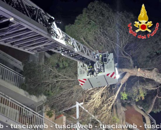 Santa Marinella – Pino marittimo crolla sulla facciata di una palazzina