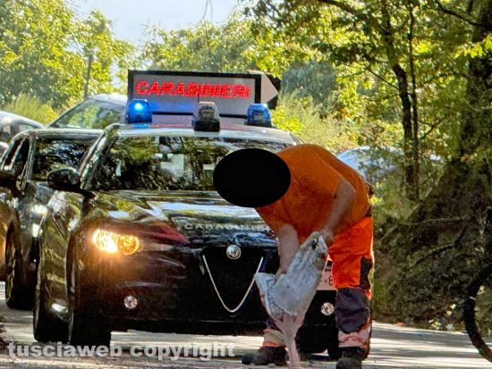 Auto si ribalta sulla Cassia Cimina, code e traffico rallentato