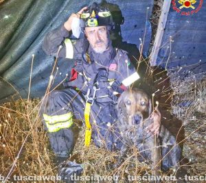 Civitavecchia - Cane cade in un pozzo, i vigili del fuoco lo salvano con un intervento su corda