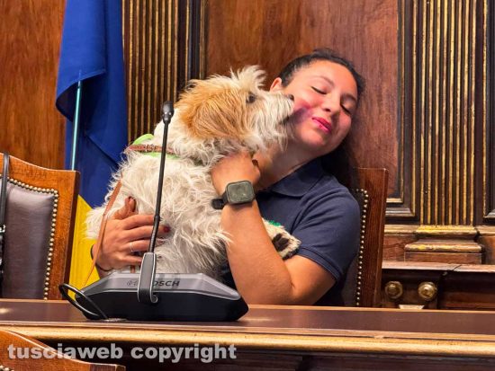 Il cane Arturo