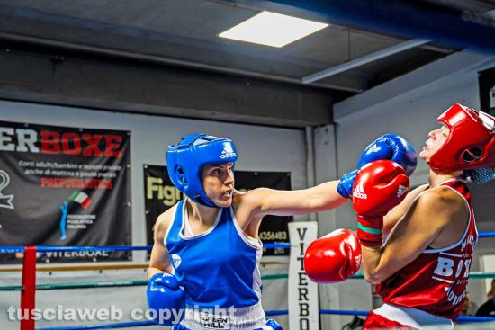 La Viterboxe infiamma il ring, pugili da tre regioni per la grande - giornata di boxe - Foto di Photo AR