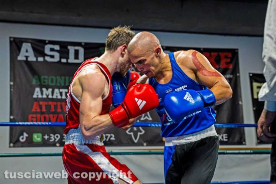 La Viterboxe infiamma il ring, pugili da tre regioni per la grande - giornata di boxe - Foto di Photo AR
