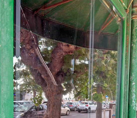 Civitavecchia - Vandalizzato il punto informazione turistica