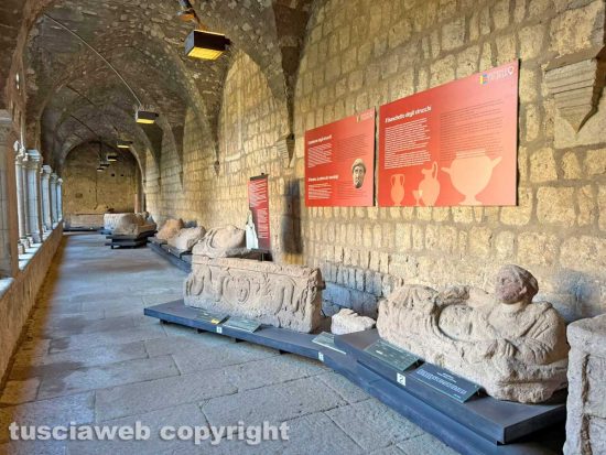 Viterbo - Il museo civico