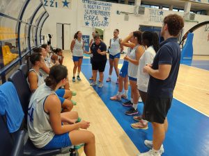 Sport - Ants basket